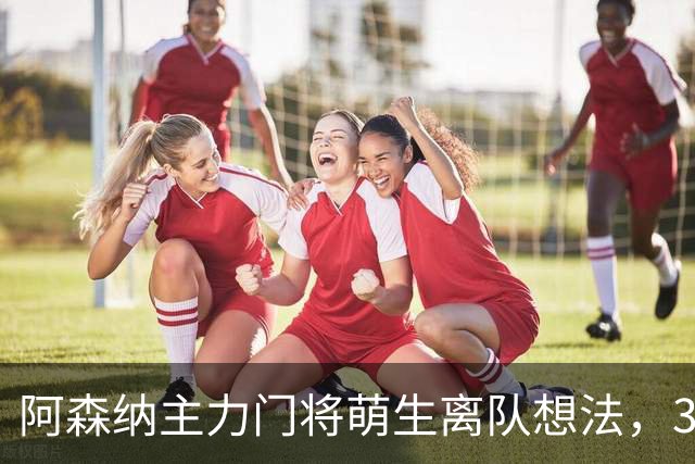 阿森纳主力门将萌生离队想法，3.76亿元锋线新援进入引援视野